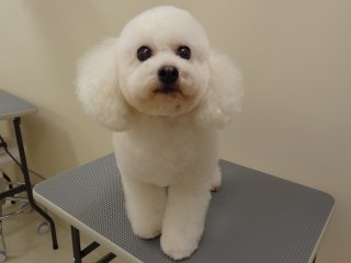 ふんわりテディ☆